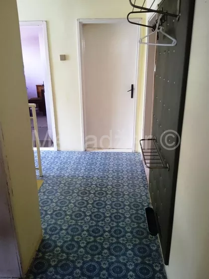 Surčin (mesto) | 4zida.rs