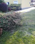 Gornja Varoš, Gradske lokacije, Sombor | 4zida.rs | 4zida.rs