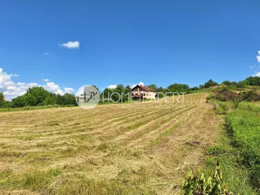Alibegovac