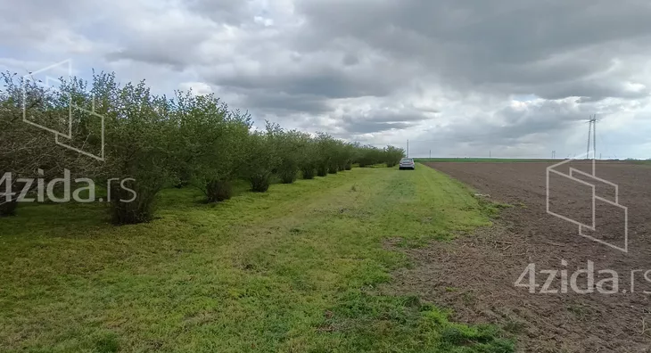 Poljoprivredno zemljište | 4zida