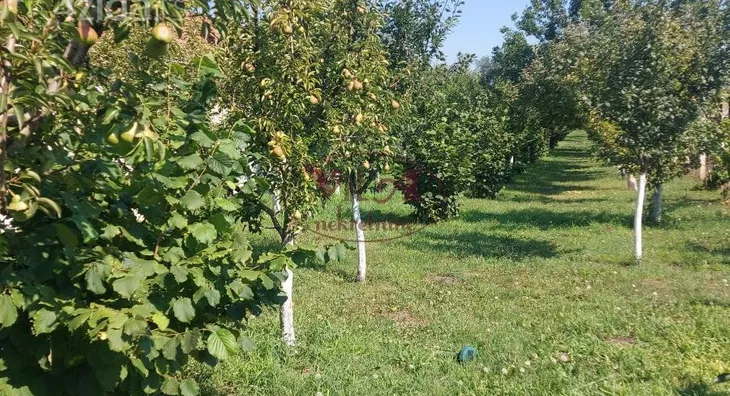 Poljoprivredno zemljište | 4zida