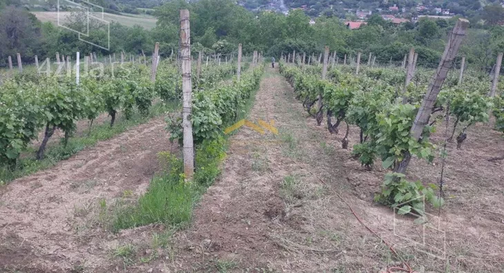 Plac | 4zida