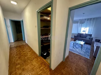 Dr Ivana Ribara | 4zida.rs