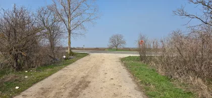 Novosadska | 4zida.rs