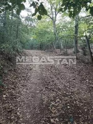 Šiljakovac | 4zida.rs