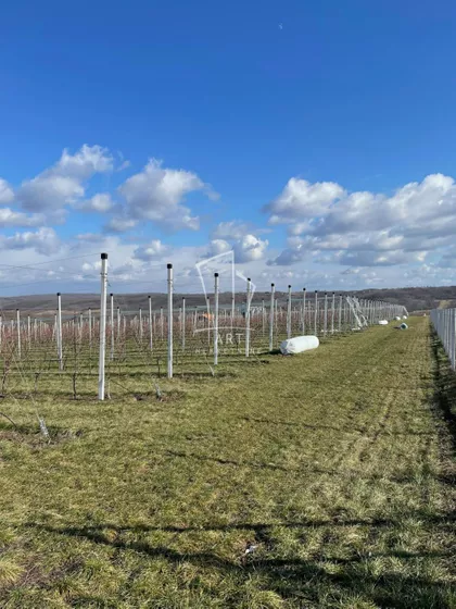 Gradske lokacije | 4zida.rs