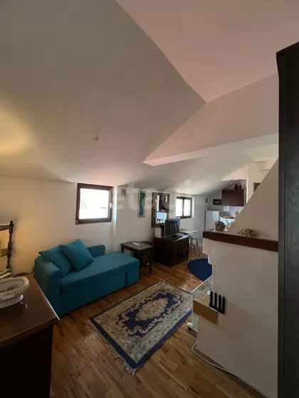 Svetozara Radojčića | 4zida.rs