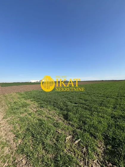 Kralja Petra I Karađorđevića | 4zida.rs