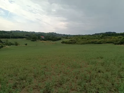 Slankamenački Vinogradi | 4zida.rs