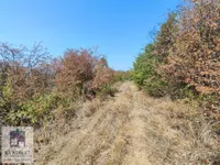 Plac | 4zida
