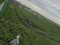 Čenej, Okolne lokacije, Novi Sad | 4zida.rs