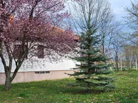 Beograd, Sopot opština, Kosmaj | 4zida.rs | 4zida.rs