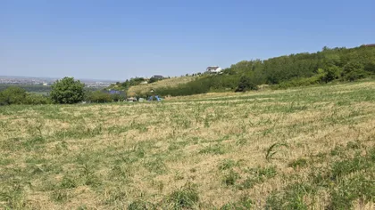 Sentić | 4zida.rs