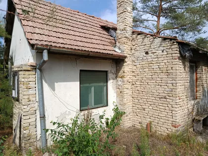 Zorka | 4zida.rs