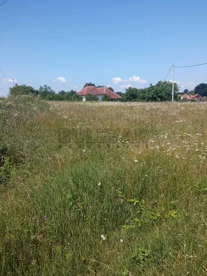 Dračka | 4zida.rs
