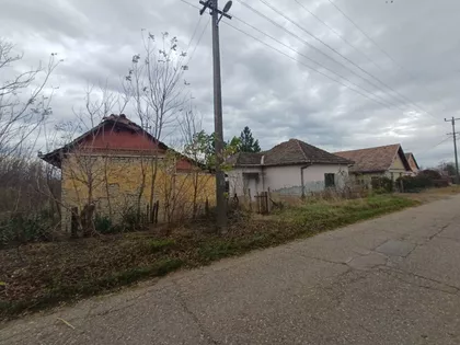 Nosa | 4zida.rs