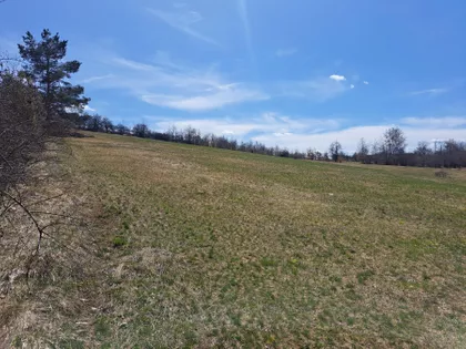 Burađska | 4zida.rs