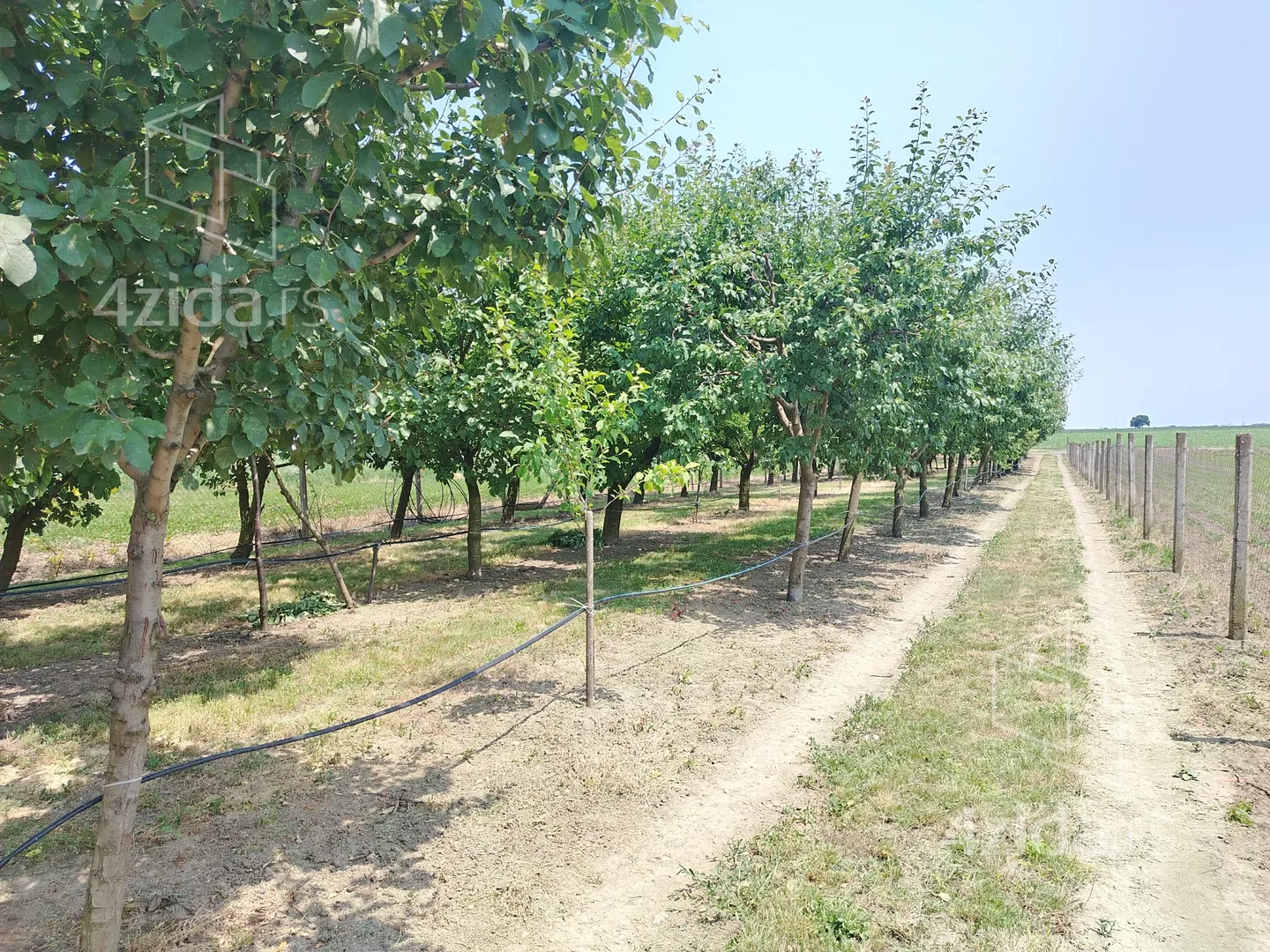 Poljoprivredno zemljište | 4zida