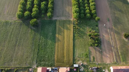 Nebojše Popovića | 4zida.rs