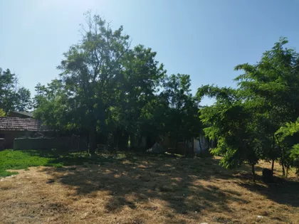 Gradina Salaši 96 | 4zida.rs