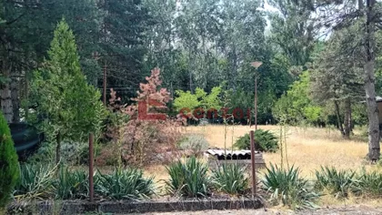 Kelebija | 4zida.rs