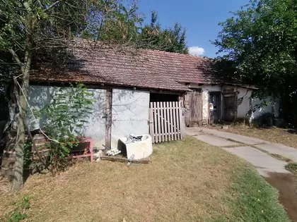 Hajdukovo | 4zida.rs