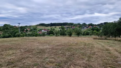 Živote Panića | 4zida.rs