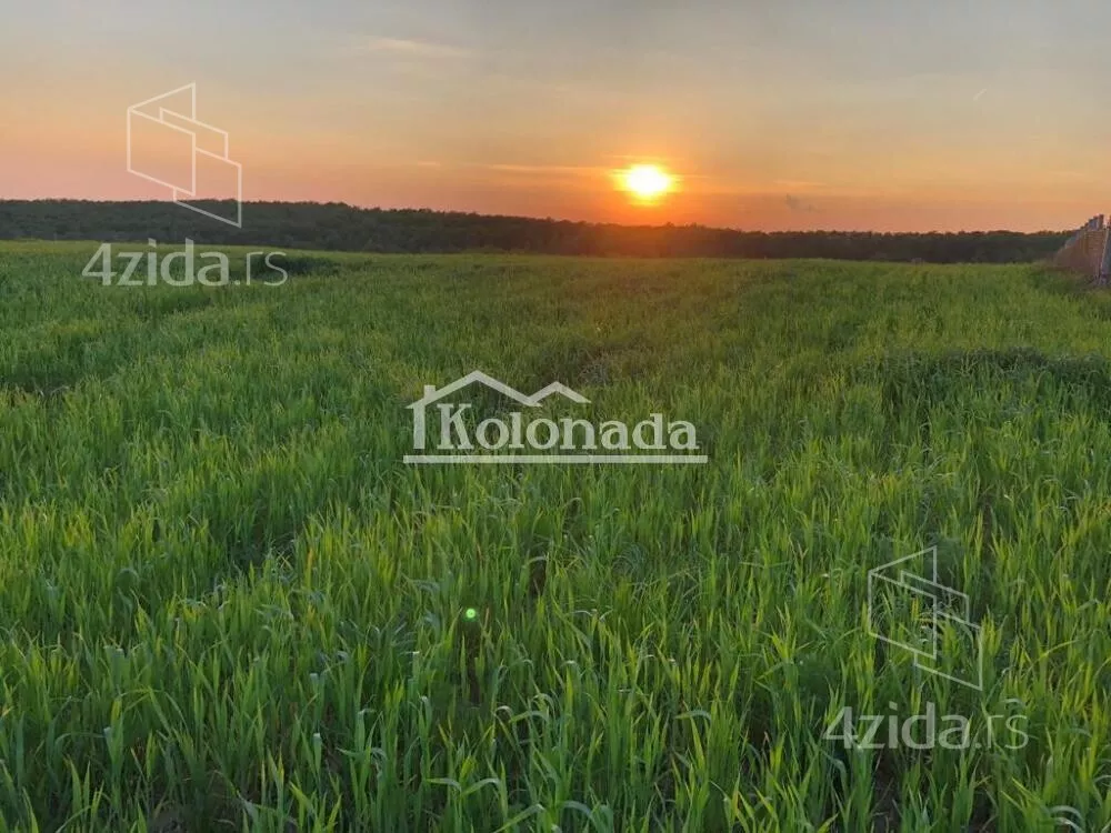 Poljoprivredno zemljište | 4zida