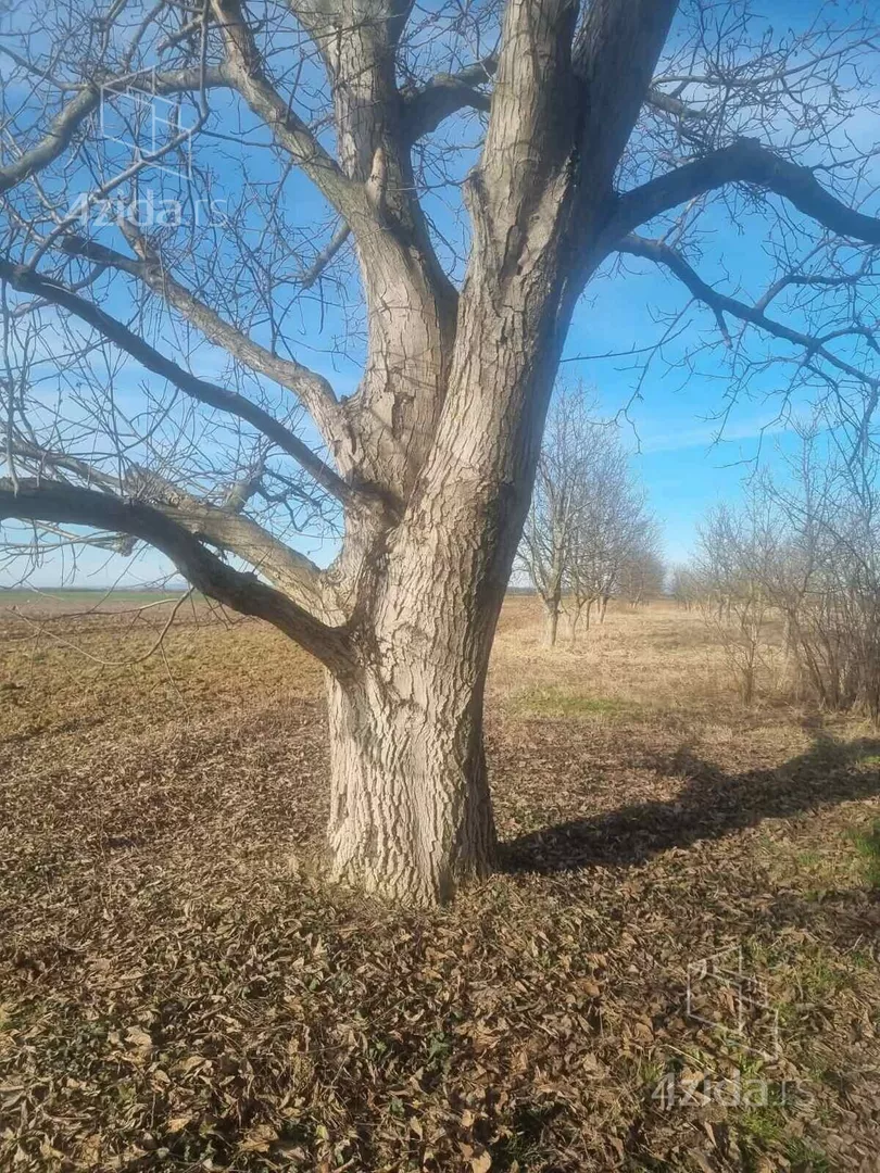 Poljoprivredno zemljište | 4zida