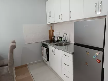 Zmaj Ognjena Vuka | 4zida.rs