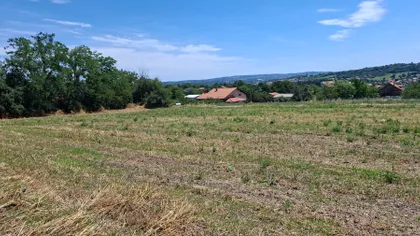 Jovana Cvijića | 4zida.rs