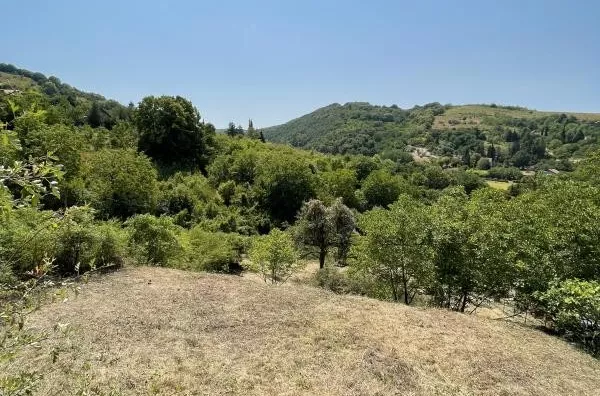Plac | 4zida