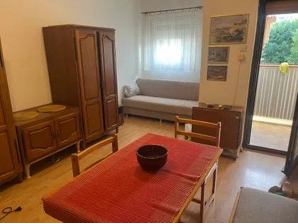 Homoljska | 4zida.rs