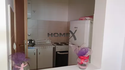 Tanaska rajica | 4zida.rs