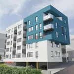 Niš, Gradske lokacije, Palilula, Apelovac | 4zida.rs | 4zida.rs