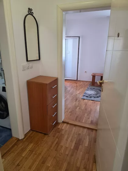 Vase Pelagića | 4zida.rs