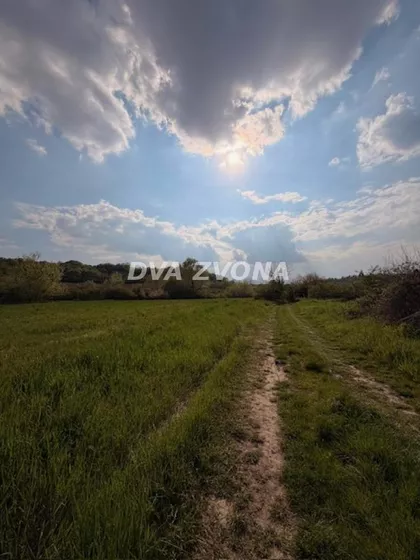 Čortanovci | 4zida.rs