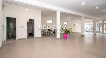 Carice Jelene | 4zida.rs