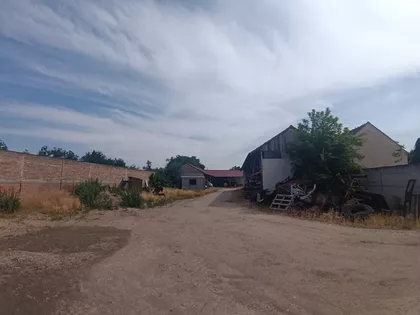 Žarka Zrenjanina | 4zida.rs