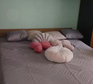 Novi Grad, Gradske lokacije, Subotica, 2.0 stan | 4zida.rs