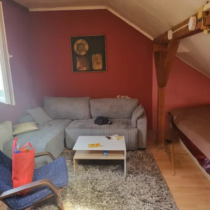 Gospodar Jevremova | 4zida.rs