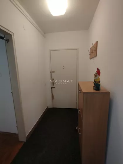 Dr Ivana Ribara | 4zida.rs