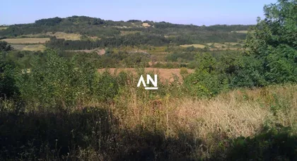 29. novembra | 4zida.rs