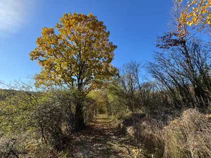 Nemenikuće | 4zida.rs