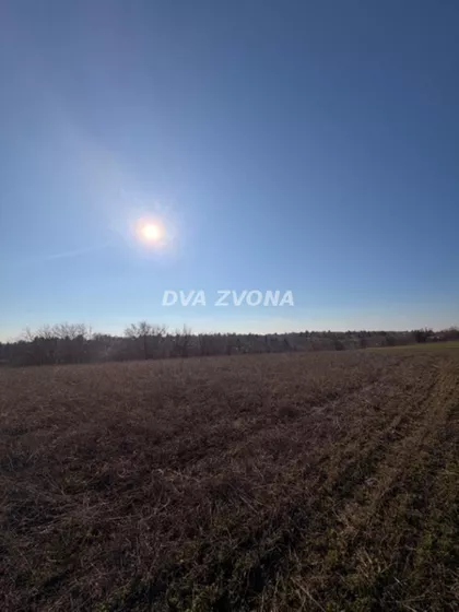 Čortanovci | 4zida.rs