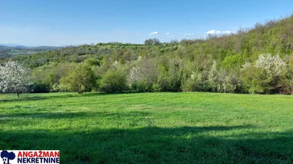 Bačevička | 4zida.rs