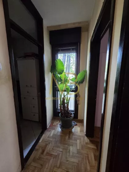 Serdar Janka Vukotića | 4zida.rs