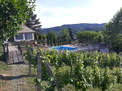 Sremska Kamenica | 4zida.rs