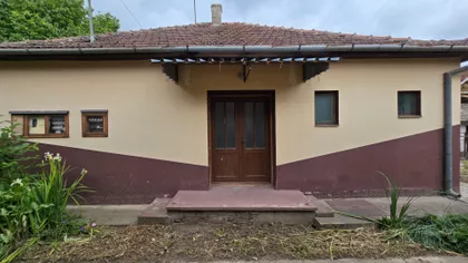 Pačir | 4zida.rs