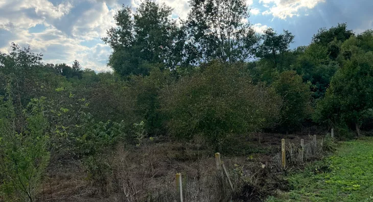 Poljoprivredno zemljište | 4zida